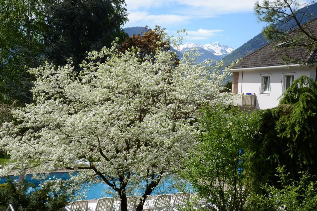 Hotel Tannerhof Merano Exterior photo